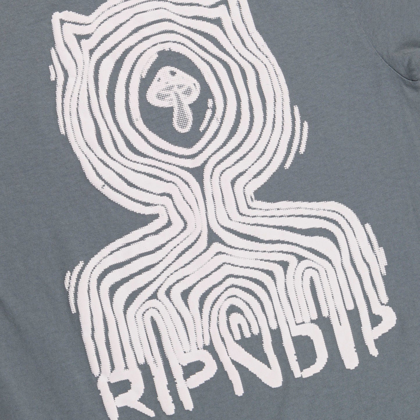 RIPNDIP T-SHIRT CTRL TEE BLACK WASH