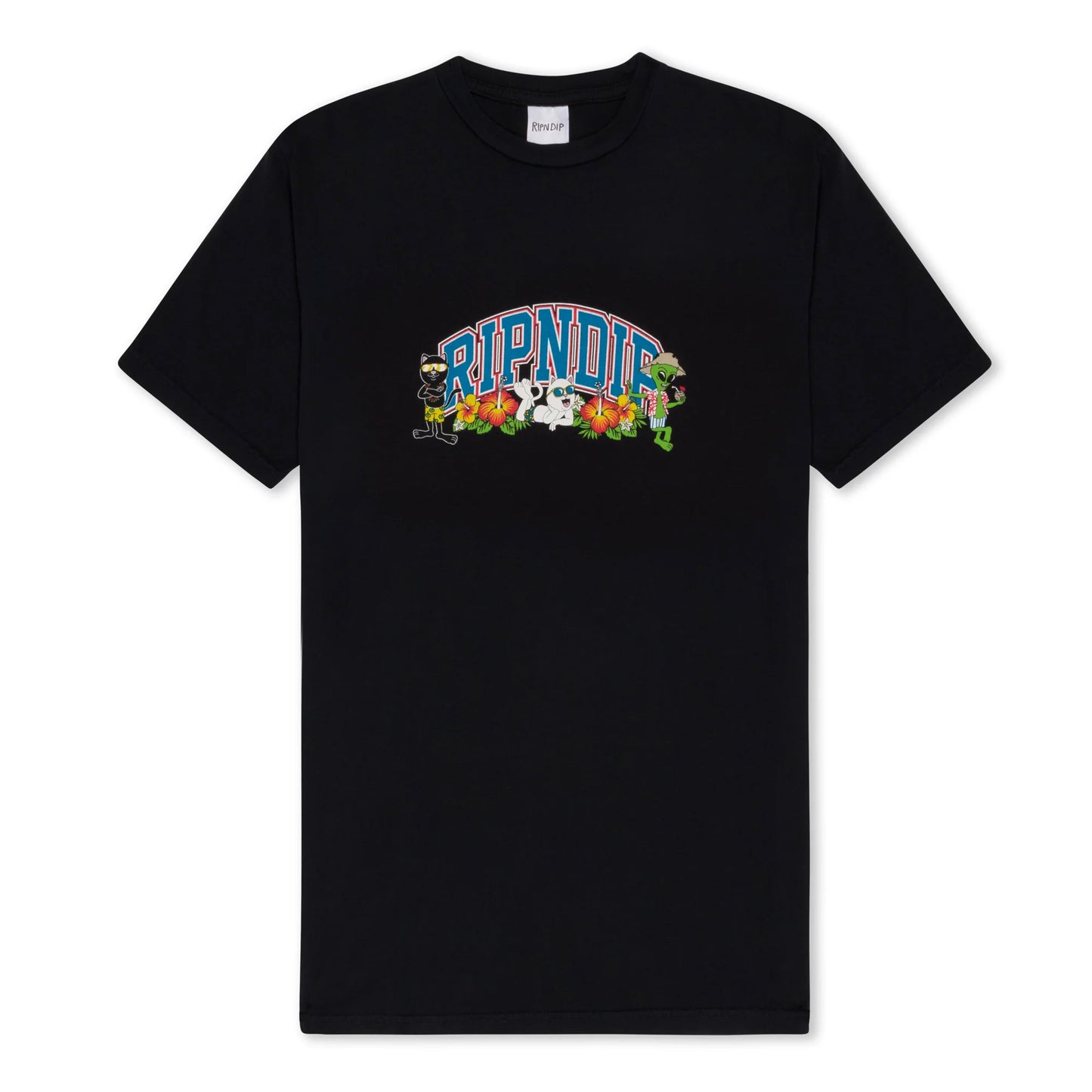 Summer Friends Tee (Black) RIPNDIP