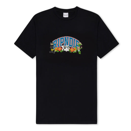 Summer Friends Tee (Black) RIPNDIP