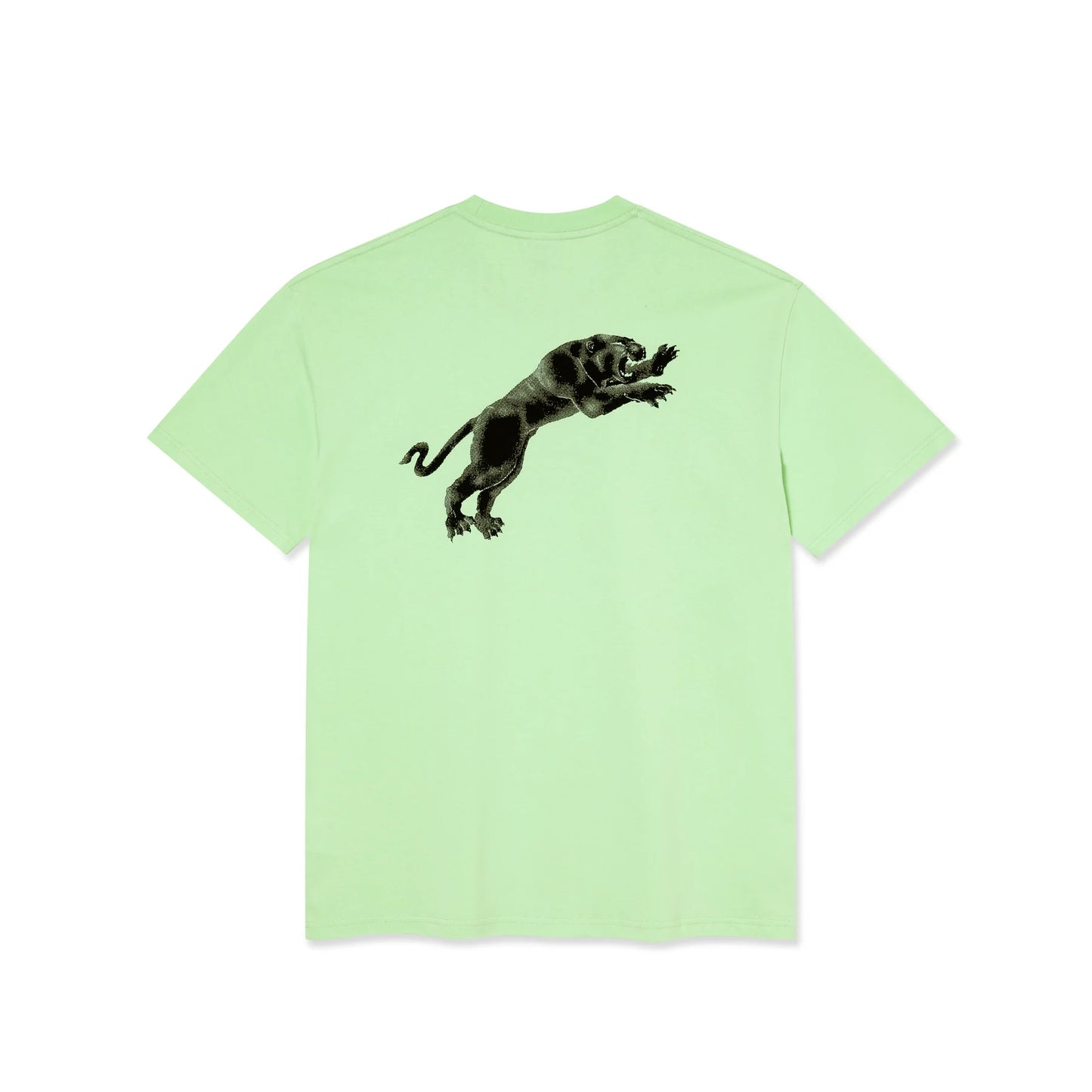 POLAR SKATE - TAPE AND PANTHER (MINT GREEN)